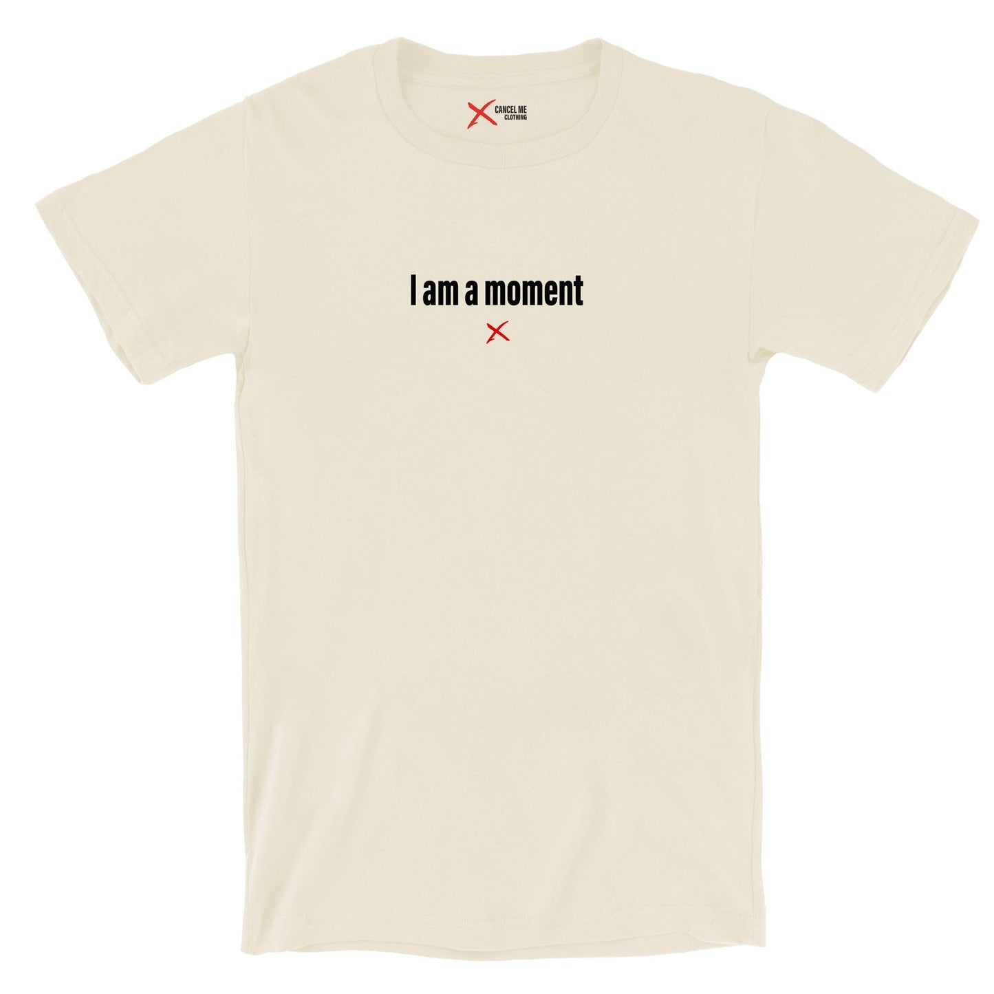 I am a moment - Shirt