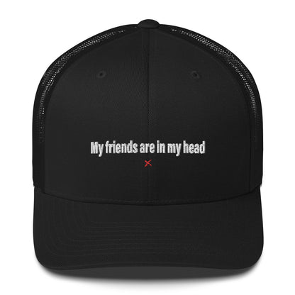 My friends are in my head - Hat