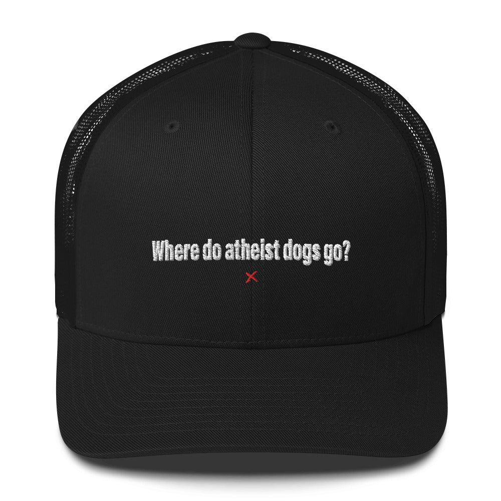 Where do atheist dogs go? - Hat