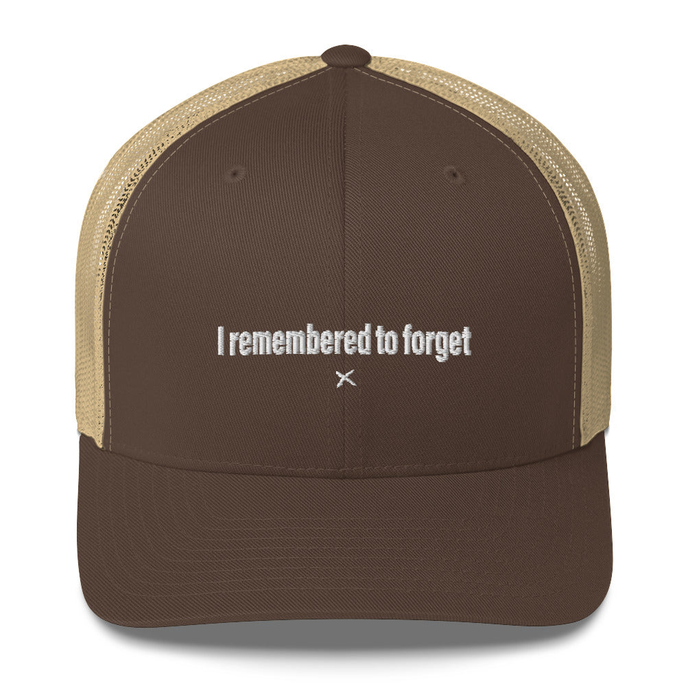 I remembered to forget - Hat