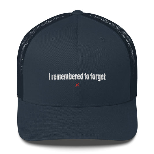I remembered to forget - Hat