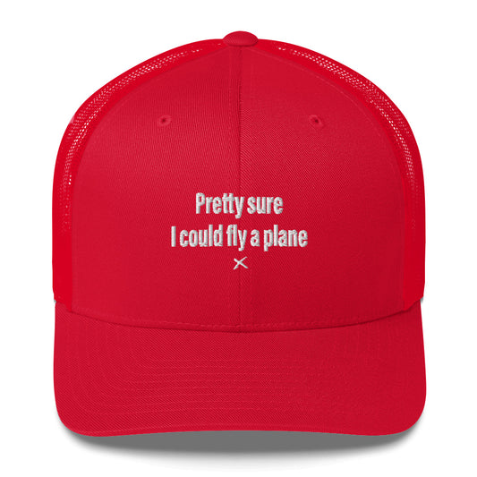 Pretty sure I could fly a plane - Hat