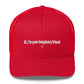 Hi, I'm your imaginary friend - Hat