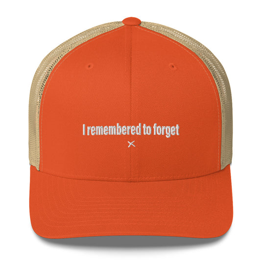 I remembered to forget - Hat