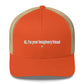 Hi, I'm your imaginary friend - Hat