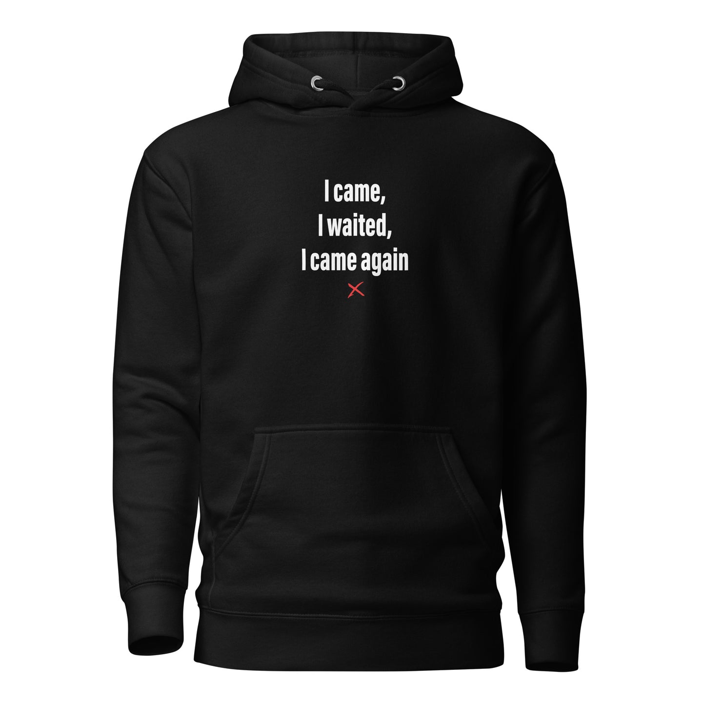 I came, I waited, I came again - Hoodie