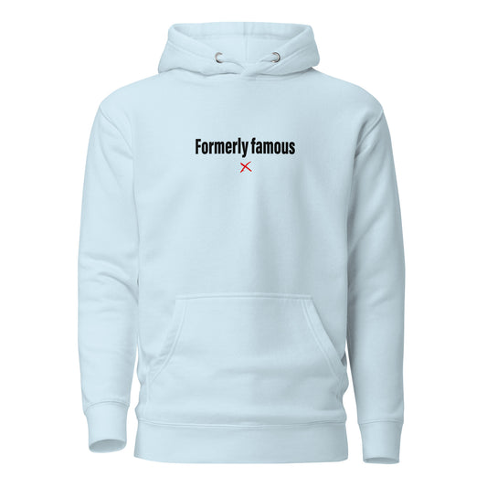 Formerly famous - Hoodie