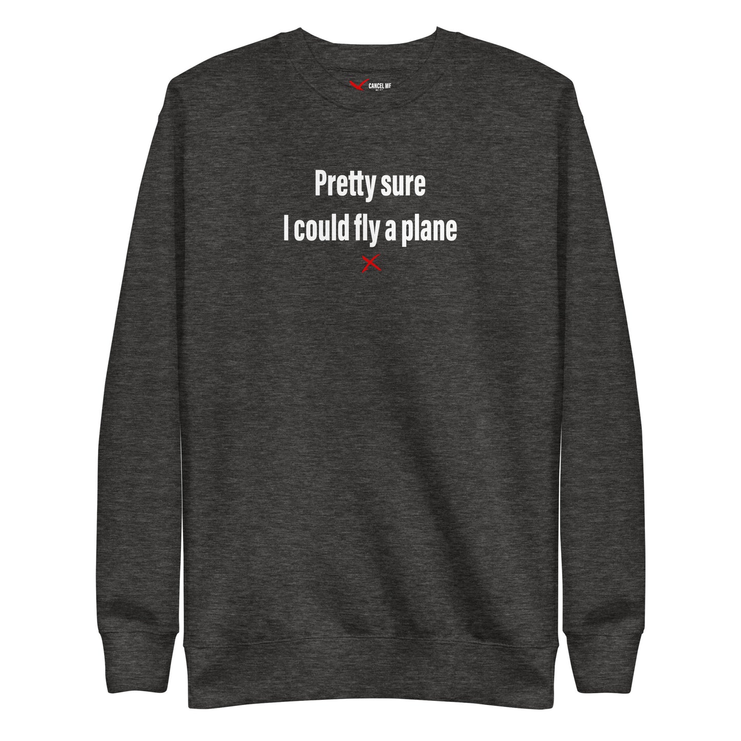 Pretty sure I could fly a plane - Sweatshirt