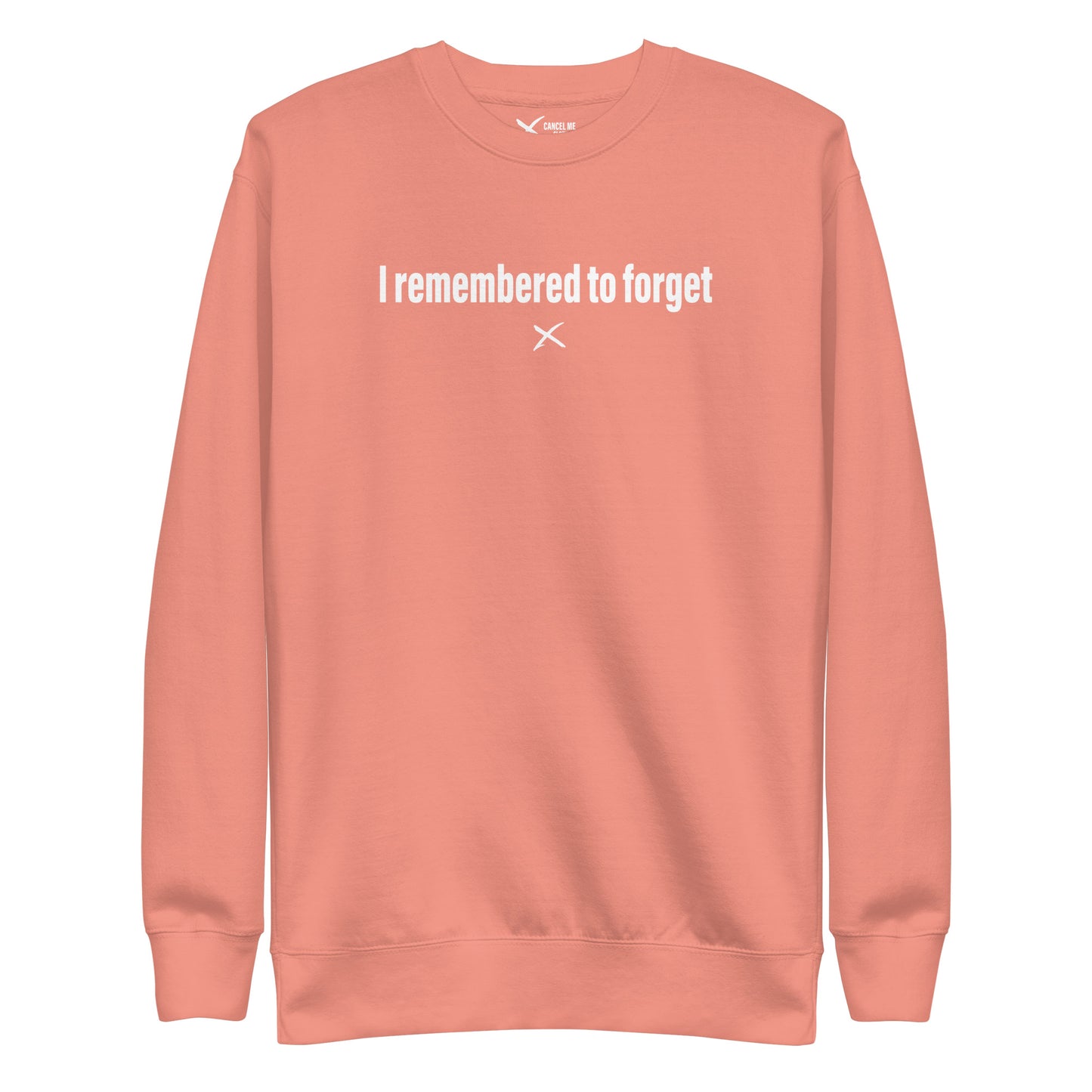 I remembered to forget - Sweatshirt